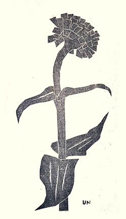 photo52.jpg