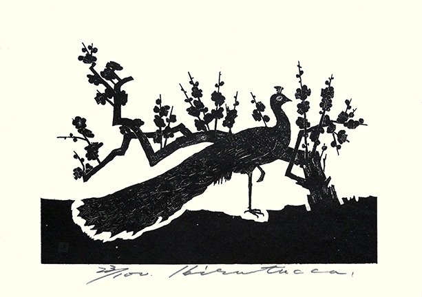 photo6.jpg
