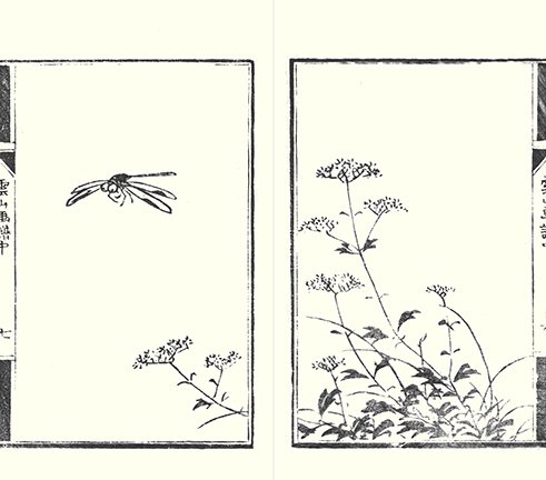 photo24.jpg