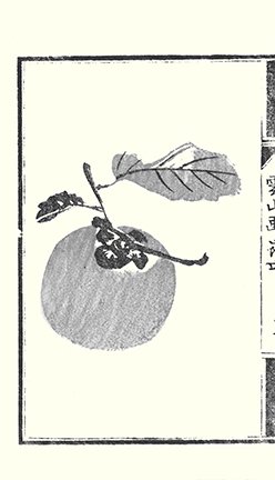 photo32.jpg