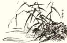 photo13_small.jpg
