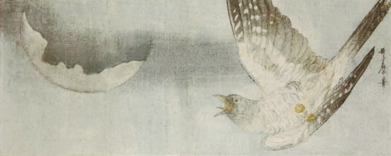 photo17.jpg