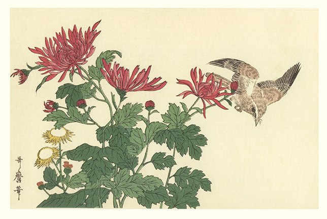 photo19.jpg