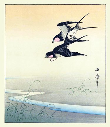 photo20.jpg
