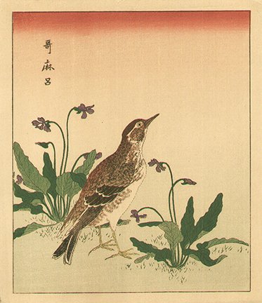 photo21.jpg