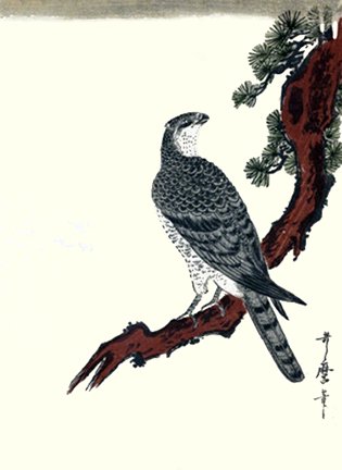 photo27.jpg