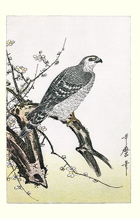 photo8.jpg