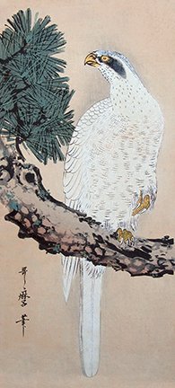 photo9.jpg