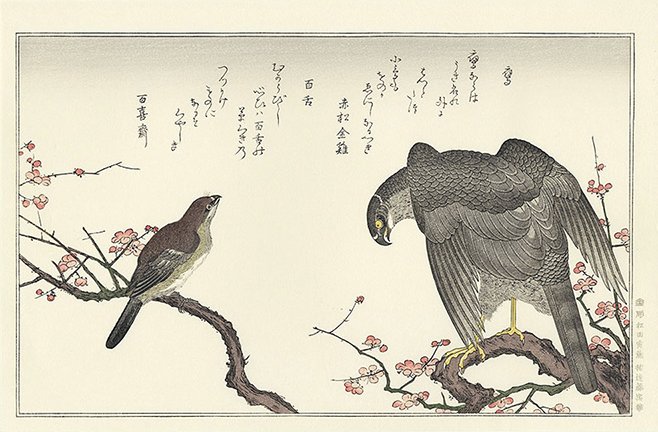 photo15.jpg