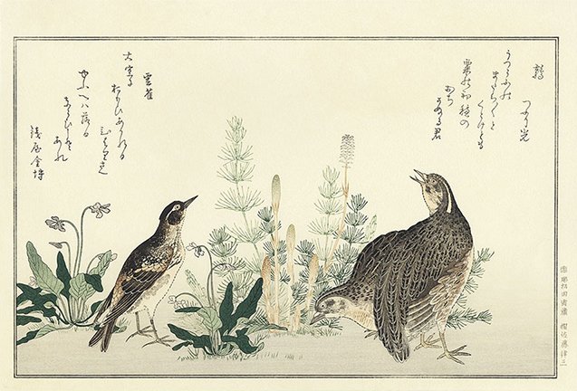 photo2.jpg