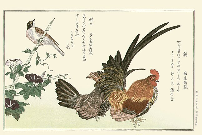 photo8.jpg