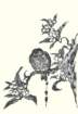 photo9_small.jpg