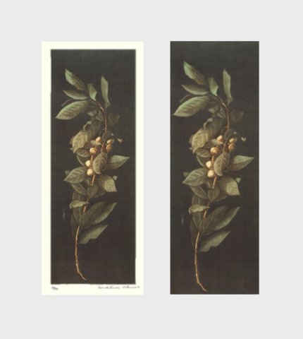 photo27.jpg