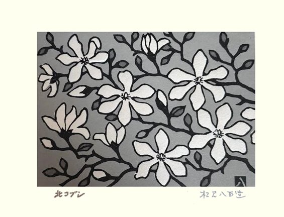 photo26.jpg