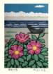 photo28_small.jpg