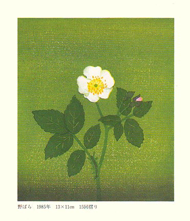 photo15.jpg