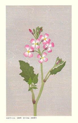 photo52.jpg
