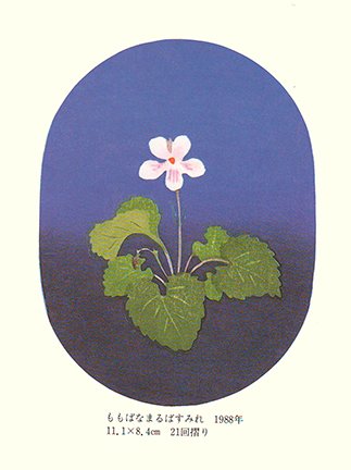 photo8.jpg