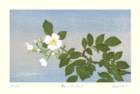 photo9_small.jpg