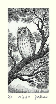 photo13.jpg