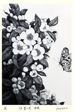 photo9.jpg