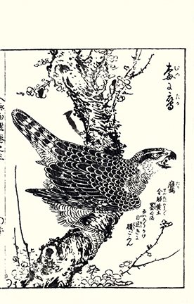 photo.jpg