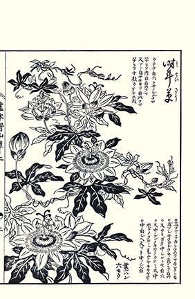 photo21.jpg