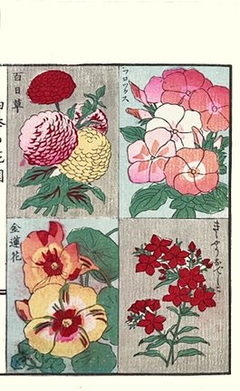 photo15.jpg