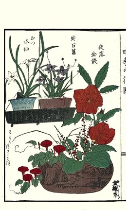 photo20.jpg