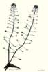photo2_small.jpg