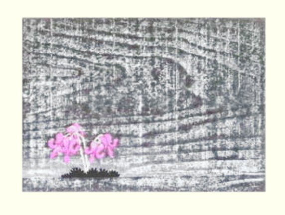 photo18.jpg