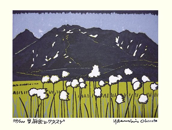 photo24.jpg