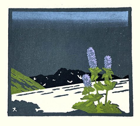 photo27.jpg