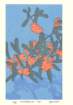 photo115_small.jpg