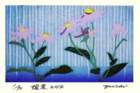 photo15_small.jpg