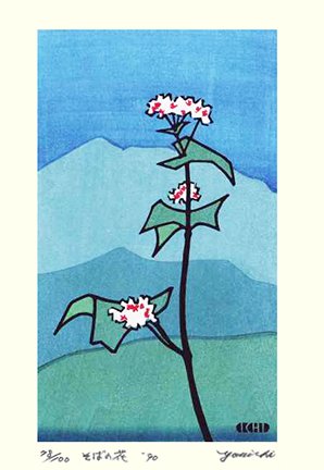 photo94.jpg