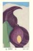 photo9_small.jpg
