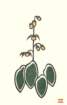 photo11_small.jpg