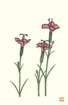 photo12_small.jpg