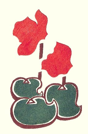 photo7.jpg