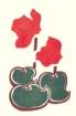 photo7_small.jpg