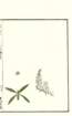 photo15_small.jpg