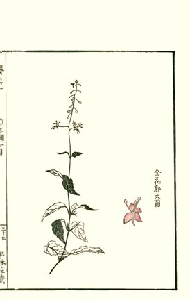 photo38.jpg