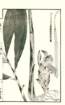photo8_small.jpg
