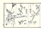 photo6_small.jpg