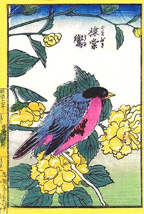 photo12.jpg