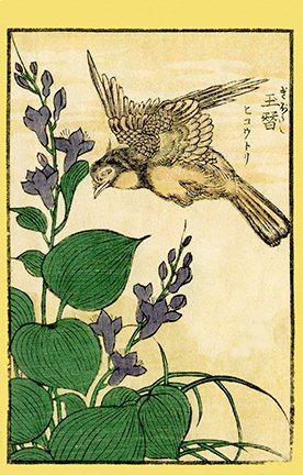 photo19.jpg