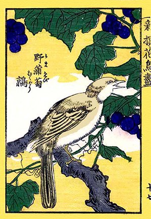 photo33.jpg
