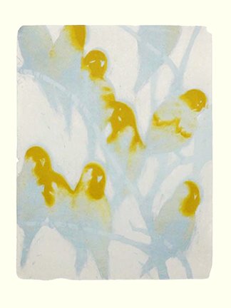photo16.jpg