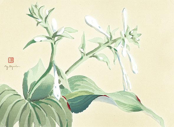 photo12.jpg